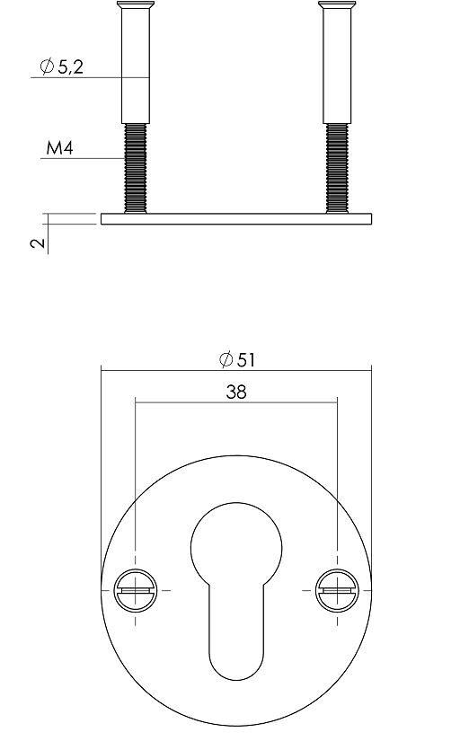 Intersteel cilinderrozetten ø50x2mm rvs