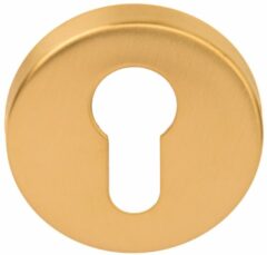 PC-Plaatje Rond D10 PVD Mat Goud