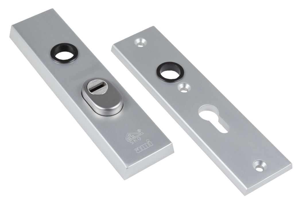 AMI Veiligheidskortschilden Rechthoekig met kerntrekbeveiliging PC55 SKG*** Aluminium F1