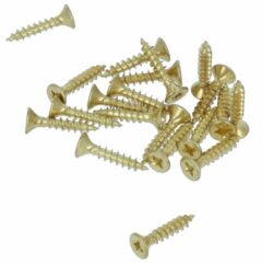 20 stuks Messing Schroeven Pozy Drive 3.0 x 16 mm