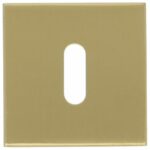 Sleutelplaatje BASIC BSQN53 PVD mat goud