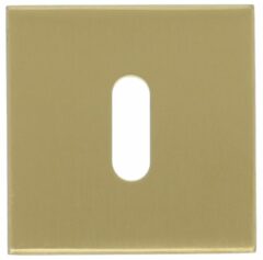 Sleutelplaatje BASIC BSQN53 PVD mat goud