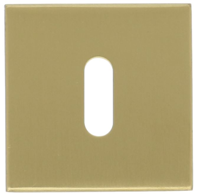 Sleutelplaatje BASIC BSQN53 PVD mat goud