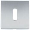 Sleutelplaatje BASIC BSQN53 mat RVS