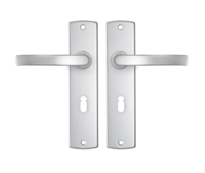 AXA curve schild SL56 met deurkruk blok aluminium F1