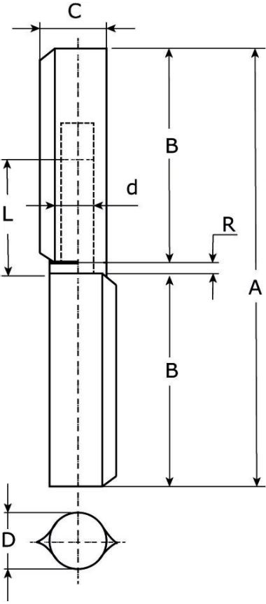 Aanlaspaumelle rvs pen rvs ring 80x13 mm rvs