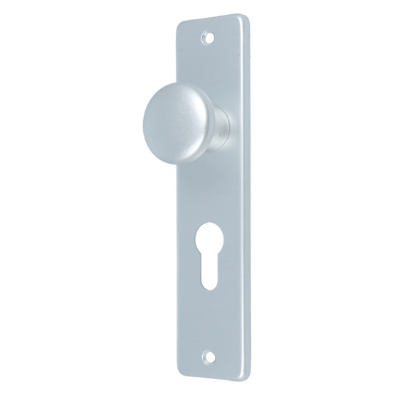 Ami Kortschild Met vaste knop PC55 Aluminium F1