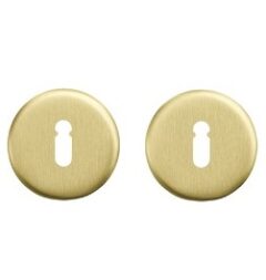 AXA rozet sleutelgat aluminium goud