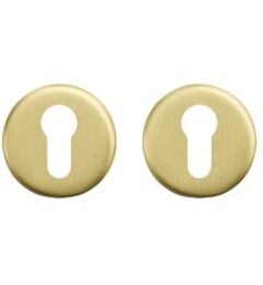 AXA rozet profielcilindergat aluminium goud