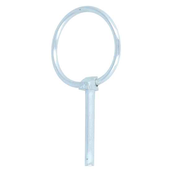 Borgpen 4,5 mm verzinkt