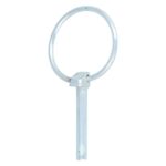 Borgpen 6 mm verzinkt