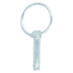 Borgpen 10 mm verzinkt