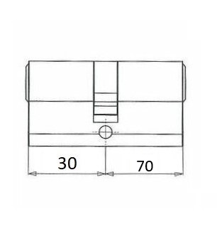 Veiligheidscilinder 30/70 Iseo F9 Met Certificaat SKG3
