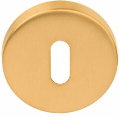Sleutelplaatje BASIC LBN50D 10 mm PVD Mat Goud