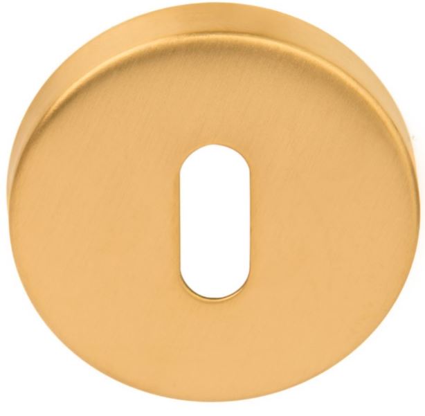 Sleutelplaatje BASIC LBN50D 10 mm PVD Mat Goud