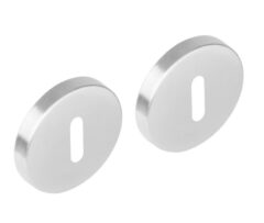 Intersteel sleutelplaatjes ø51x10mm Rond ATP RVS