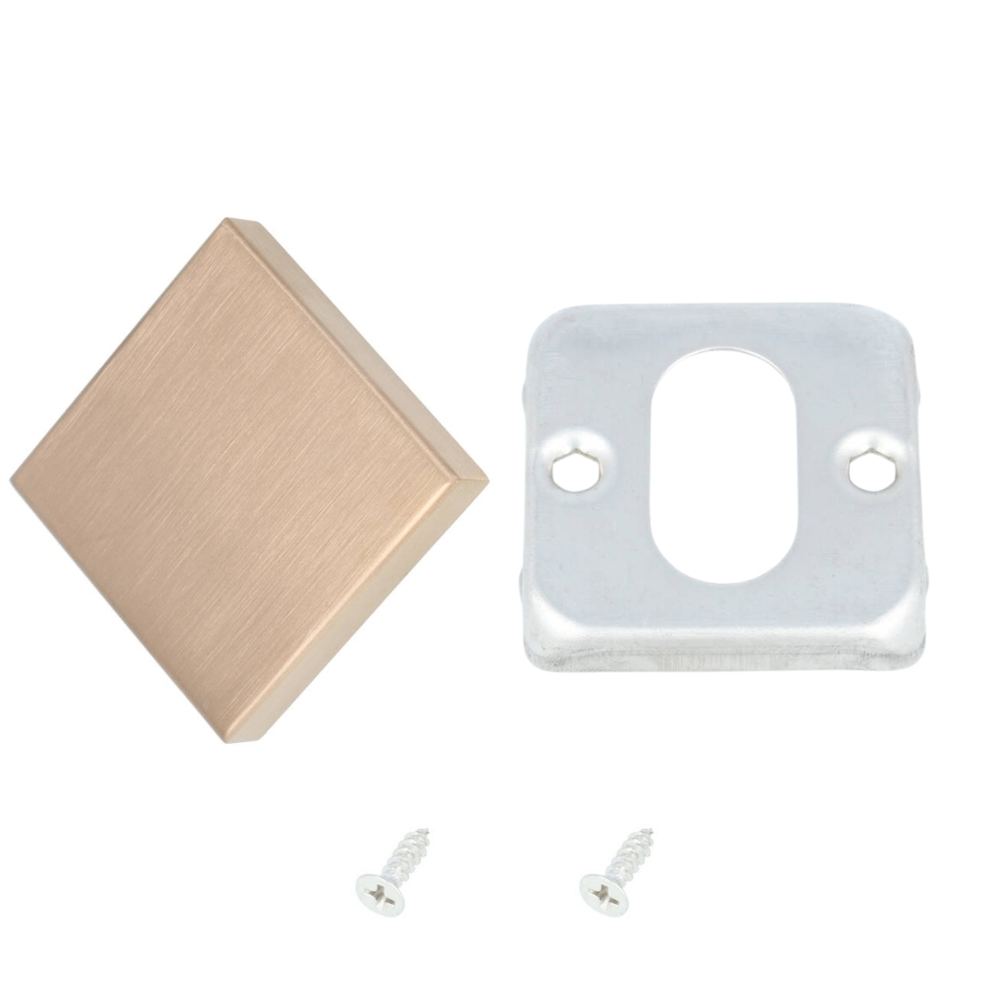 Blind plaatje BASICS BSQB53 PVD licht brons - Afbeelding 3