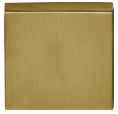 Blindplaatje Vierkant 53x53x10 PVD Mat Goud