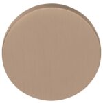 Blind plaatje ECLIPSE DRB53 PVD licht brons