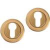 Differnz set van 2 cilinderplaatjes rond goud
