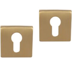 Differnz set van 2 cilinderplaatjes vierkant goud