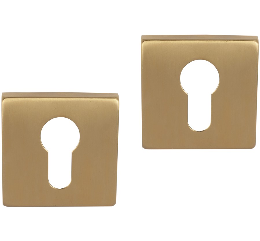 Differnz set van 2 cilinderplaatjes vierkant goud