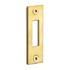 FORMANI rechthoekige sluitplaat voor kastslot BASICS LBSPK PVD mat goud