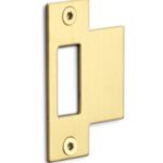 FORMANI rechthoekige sluitplaat voor loopslot BASICS LBSPSFC PVD mat goud
