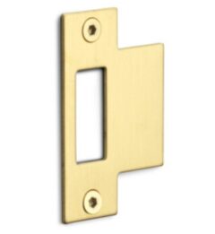 FORMANI rechthoekige sluitplaat voor loopslot BASICS LBSPSFC PVD mat goud