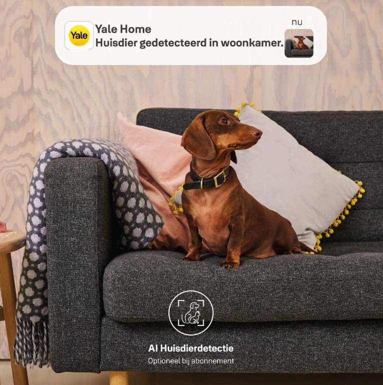 Yale Slimme binnencamera wit - Afbeelding 7