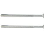 Intersteel set van 2 patentbouten M4x70mm rvs