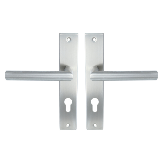 ODShop poortdeur set met beslag, slot PC72 en cilinder 40/40 rvs - Afbeelding 2