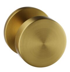 Vaste knop Permafix rond ø52x6mm PVD goud
